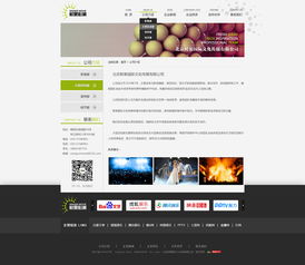 2014年網(wǎng)頁設(shè)計(jì)項(xiàng)目回顧 響應(yīng)式設(shè)計(jì)與扁平化美學(xué)的興起